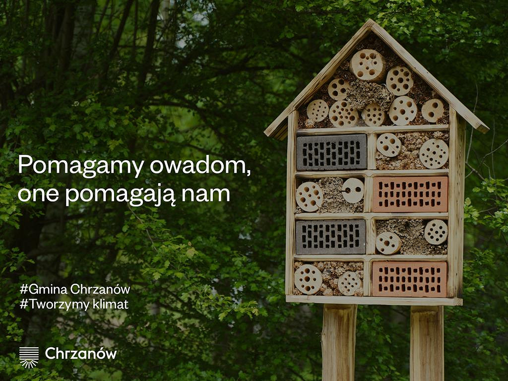 hotele_dla_owadów (Large).jpg [150.71 KB]