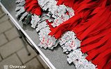 DSC03805.jpg