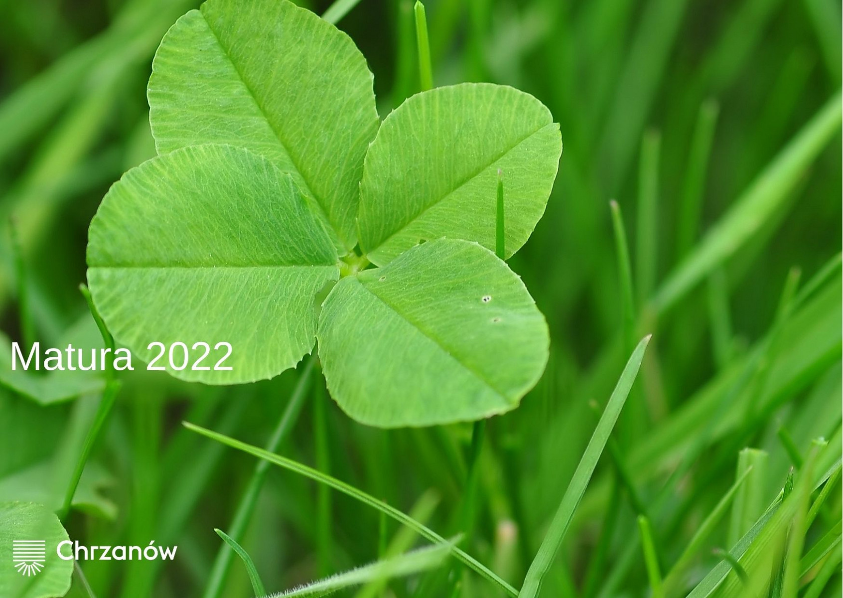 matura.jpg [203.31 KB]