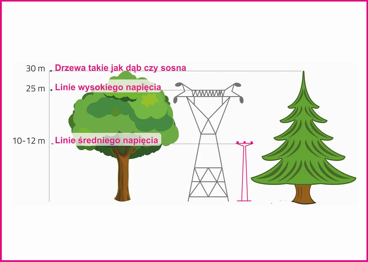 wysokosc-drzew_linie_2.jpg [33.47 KB]