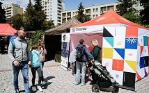 DSC04395 (Large).jpg