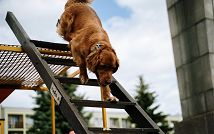 DSC05125 (Large).jpg