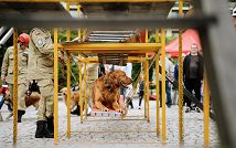 DSC05116 (Large).jpg