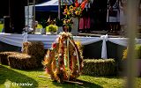 _CAR5000.jpg