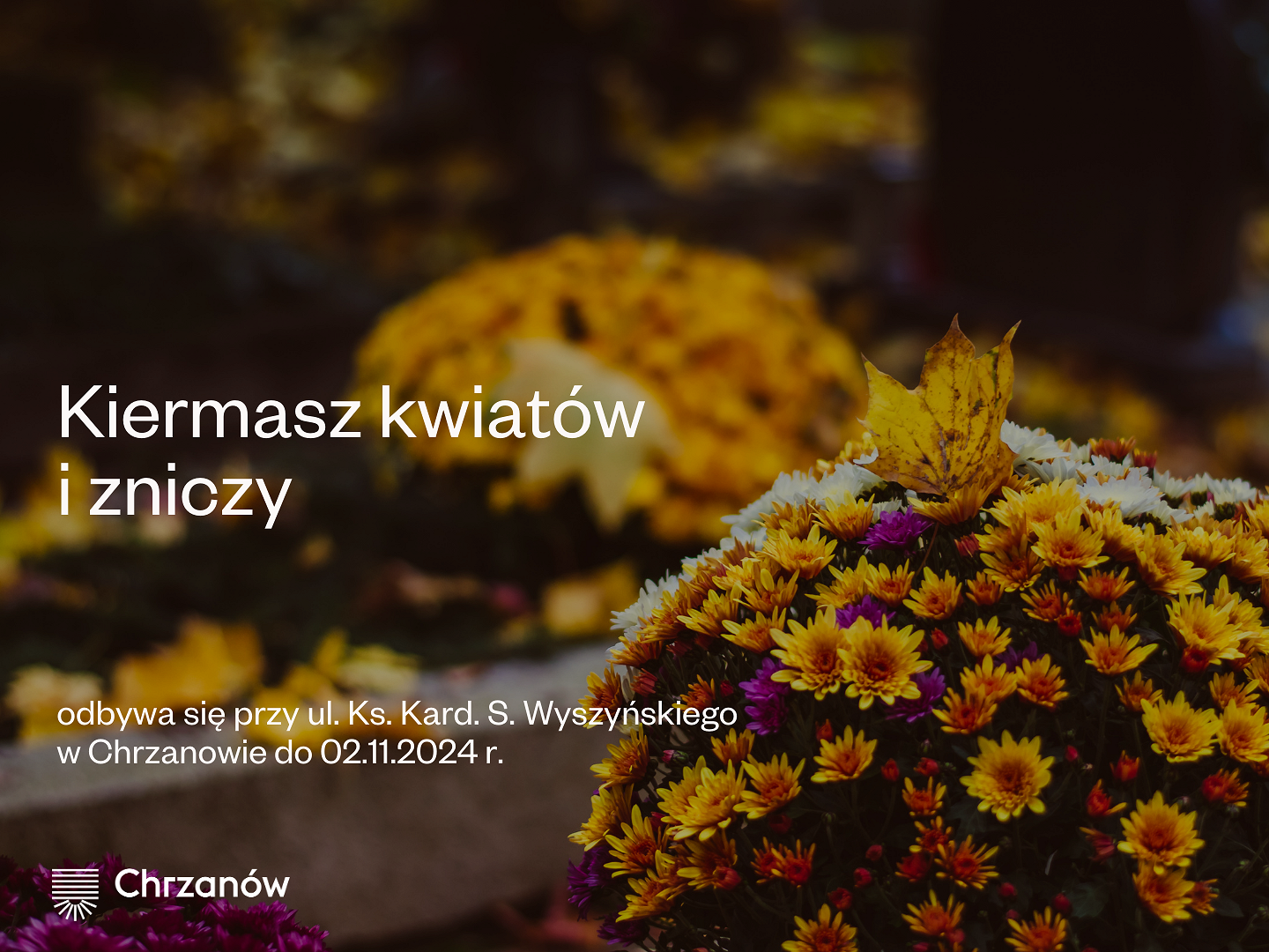 Kopia – Facebook (98).png [2.15 MB]