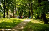 DSC03477.jpg