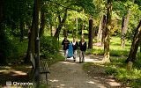 DSC03493.jpg