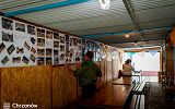 _DSC5863.jpg