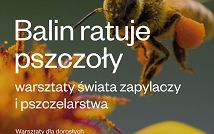 Pszczoły1.jpg