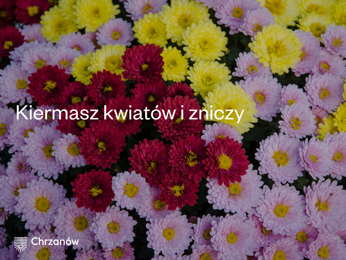 Kopia – Facebook - 2025-10-28T133528.158.png [2.16 MB]