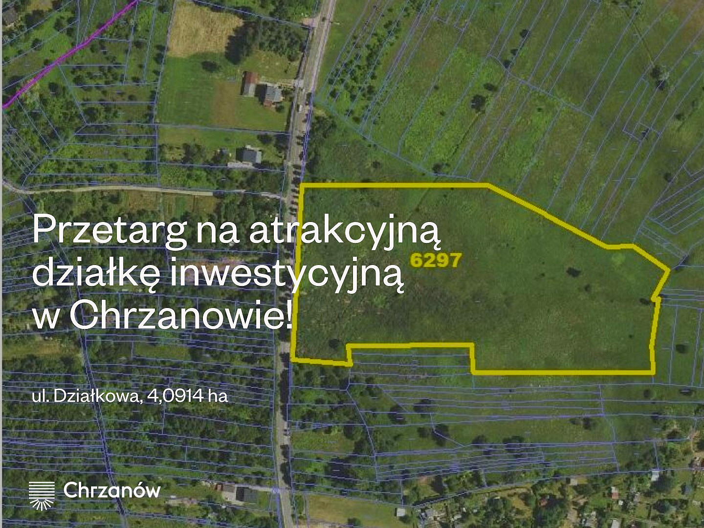 514337780_781993054152162_2872427467317912893_n (1).jpg [457.05 KB]