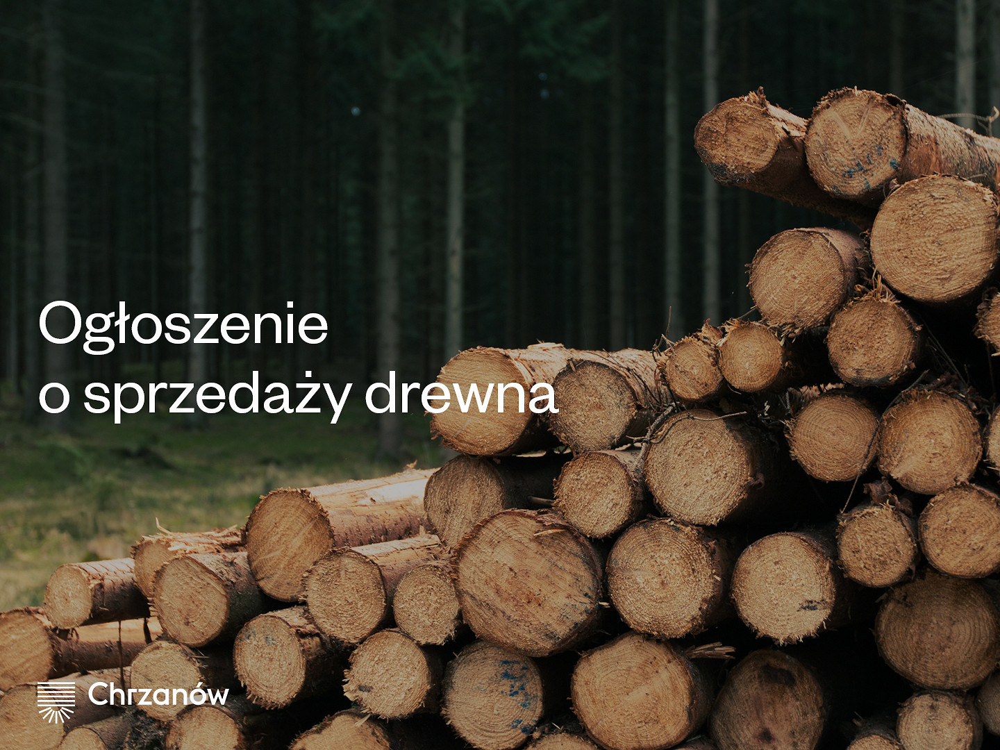 drewno.jpg [1.12 MB]