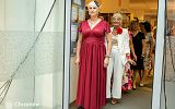DSC01776.jpg