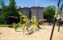 DSC03390.jpg