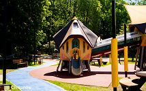 DSC03384.jpg