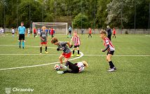 DSC00508.jpg